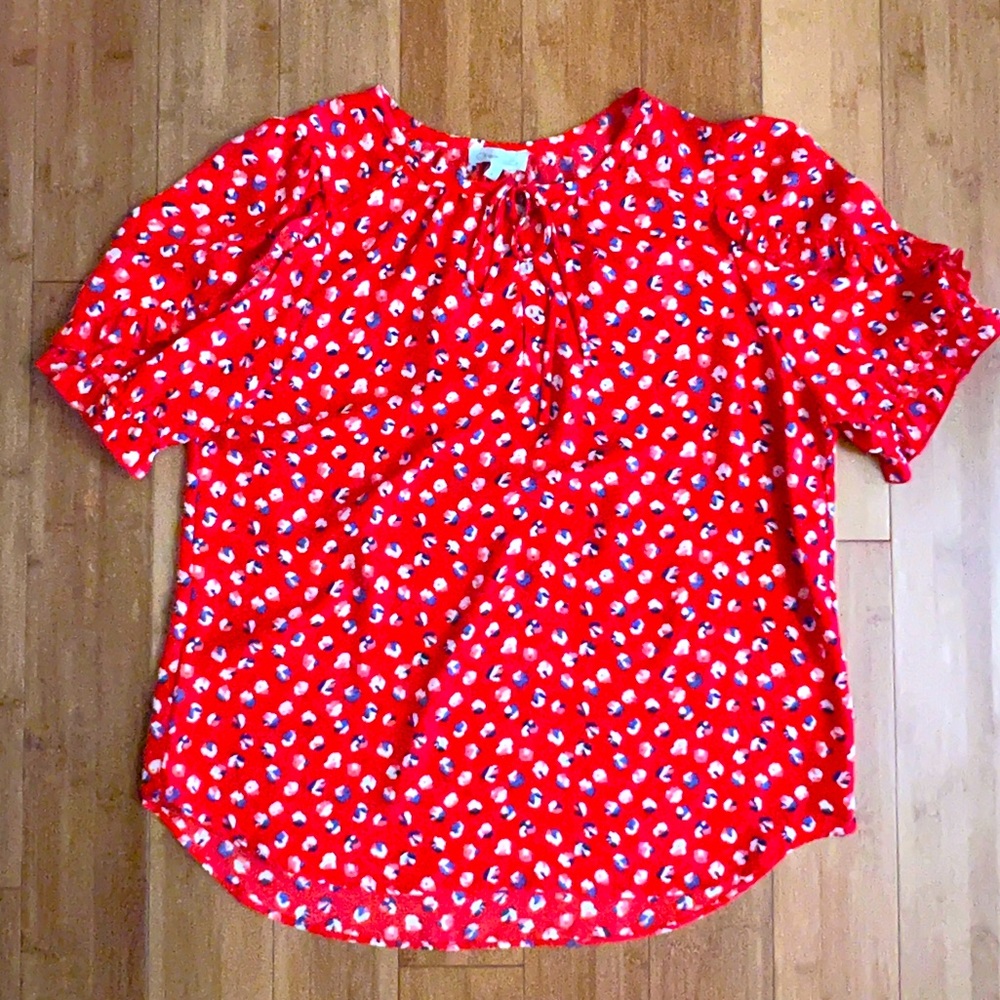 Red Blouse